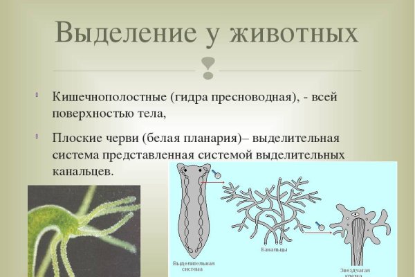 Оригинальный сайт кракен