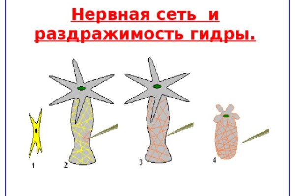 Кракен онион даркнет площадка