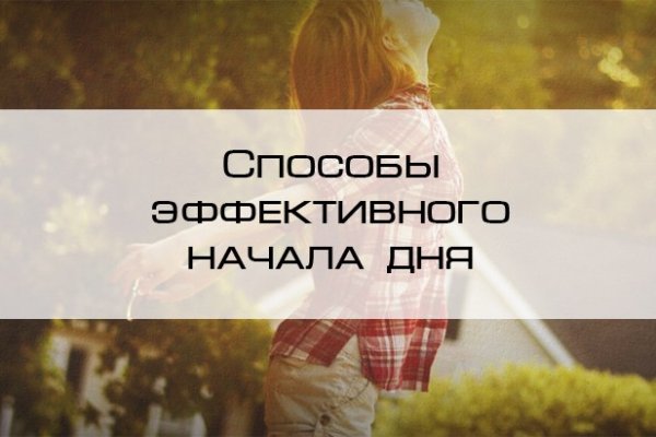 Значок кракена маркетплейса