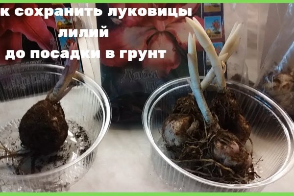 Мега кракен