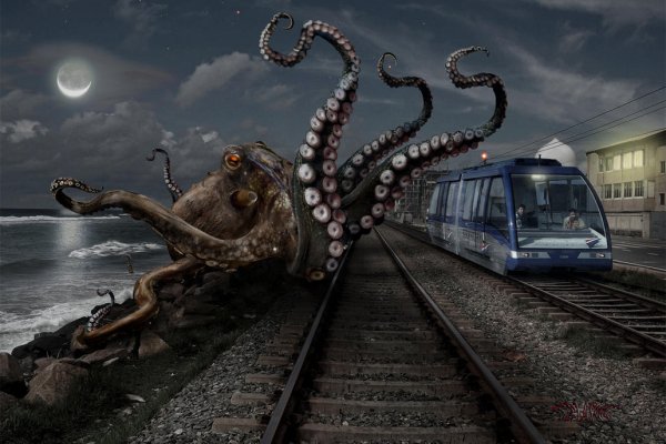 Kraken 17at
