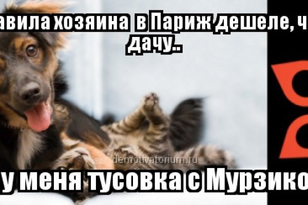 Войти на кракен