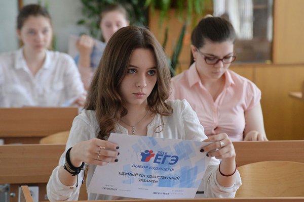 Как найти кракен в торе