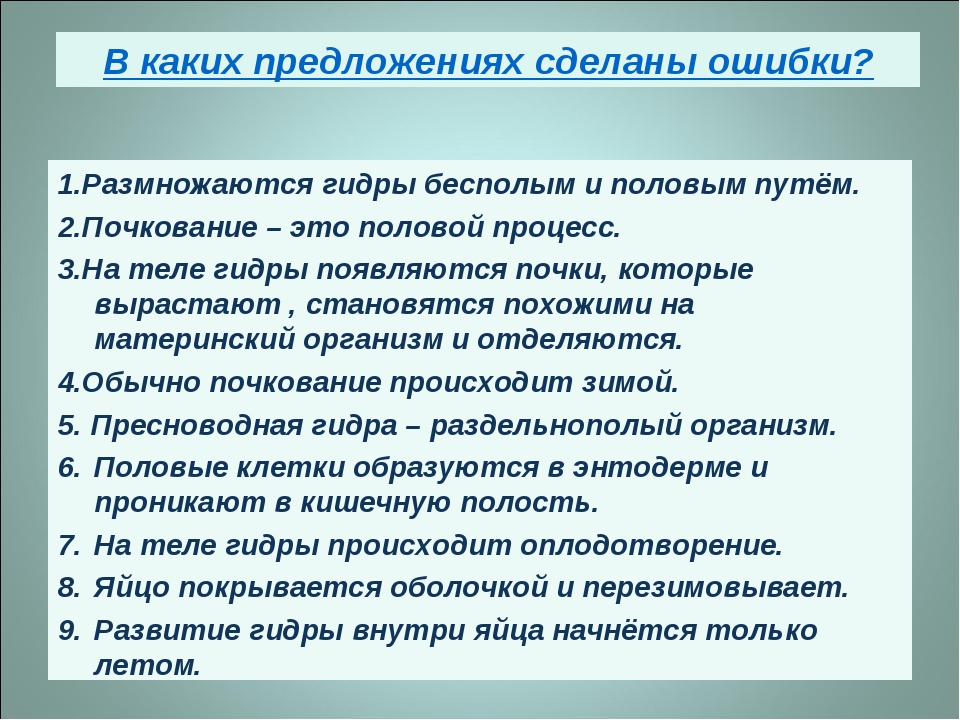 Ссылка на кракен тор kraken2 4aa337