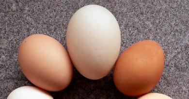 Minkä värisiä munankeltuaisten tulee olla? Kuinka ruokkia kanoja, jotta niillä on oranssi keltuainen