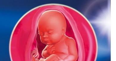Kuva sikiöstä, kuva vatsasta, ultraääni ja video lapsen kehityksestä