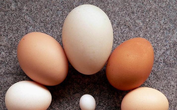 Minkä värisiä kananmunan keltuaisia ​​tulisi ruokkia?