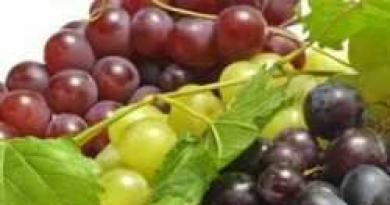 Pravila za uvedbo grozdja v prehrano otrok. Ali je mogoče otroku dati grozdje na leto?