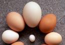 अंडे की जर्दी किस रंग की होनी चाहिए? नारंगी जर्दी पाने के लिए मुर्गियों को कैसे खिलाएं