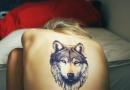 एक लड़की के लिए एक भेड़िया टैटू का अर्थ पुरुषों के लिए अग्रभाग पर एक भेड़िया टैटू के रेखाचित्र