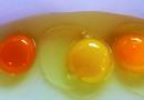 Zelene beljakovine v kokošjem jajcu - razlog, zakaj je jajce znotraj zeleno
