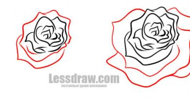 पेंसिल से आसानी से गुलाब का चित्र कैसे बनाएं