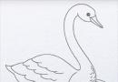 Как нарисовать лебедя поэтапно карандашом для начинающих и детей?